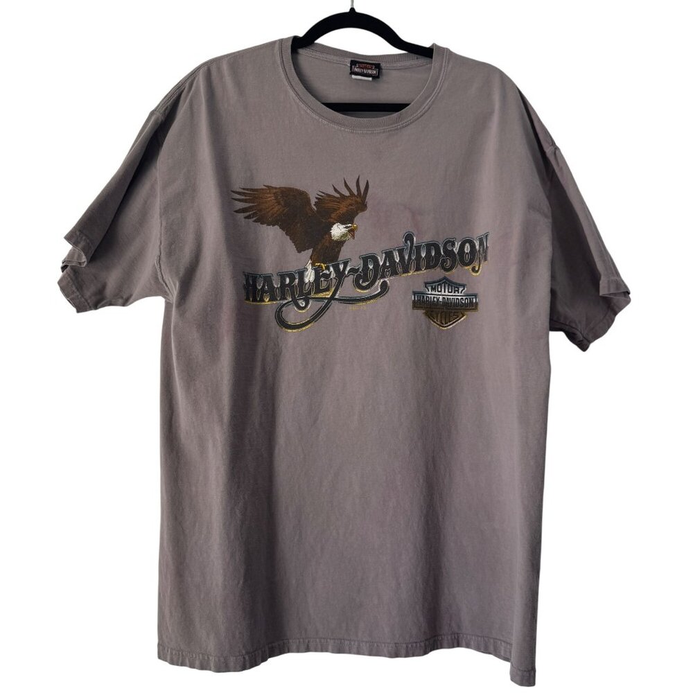 Harley Davidson Superstition Apache Junction, Arizona SS T-shirt, Size XL(stain)